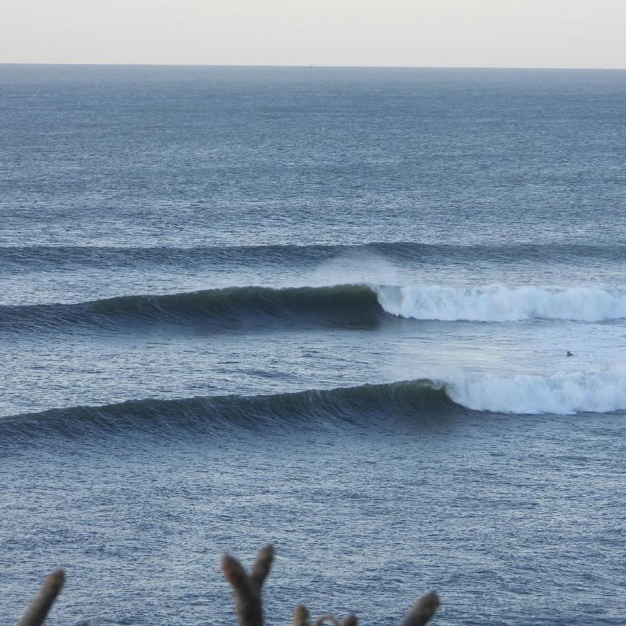 Pelicano Surf Camp La Libertad Exterior foto